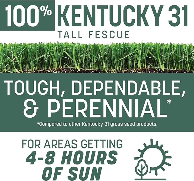 Pennington 100% Kentucky 31 Tall Fescue Penkoted Grass Seed 40 lbs