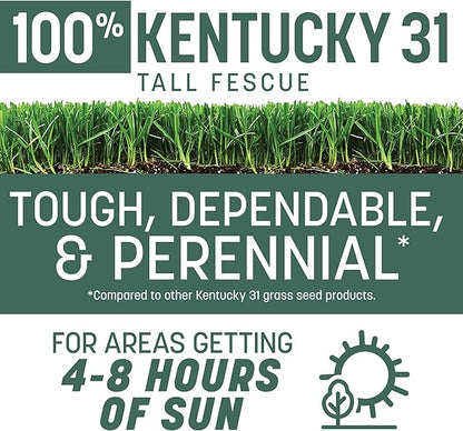 Pennington 100% Kentucky 31 Tall Fescue Penkoted Grass Seed 40 lbs