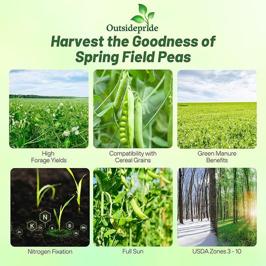Outsidepride Dundale Spring Field Peas Seeds - 10 lbs. Annual, High-Protein Legume & Cover Crop Seeds for Forage, Food Plot, Gardens & Pastures - Ideal for Improving Soil Health, & Erosion Control