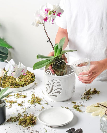 Ceramic Orchid Pot, 6 Inch Orchid Pots with Holes and Saucer for Indoor/Outdoor Plants Drainage & Air Circulation, White Orchid Planter for Repotting or New Plants