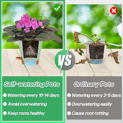 5in Self Watering Pots for Indoor Plants - 3pcs Bottom Watering African Violet Planters with Drainage, Plastic Houseplant Flower Pots for Venus Fly Trap Snake Plant Succulent Garden Live Plants