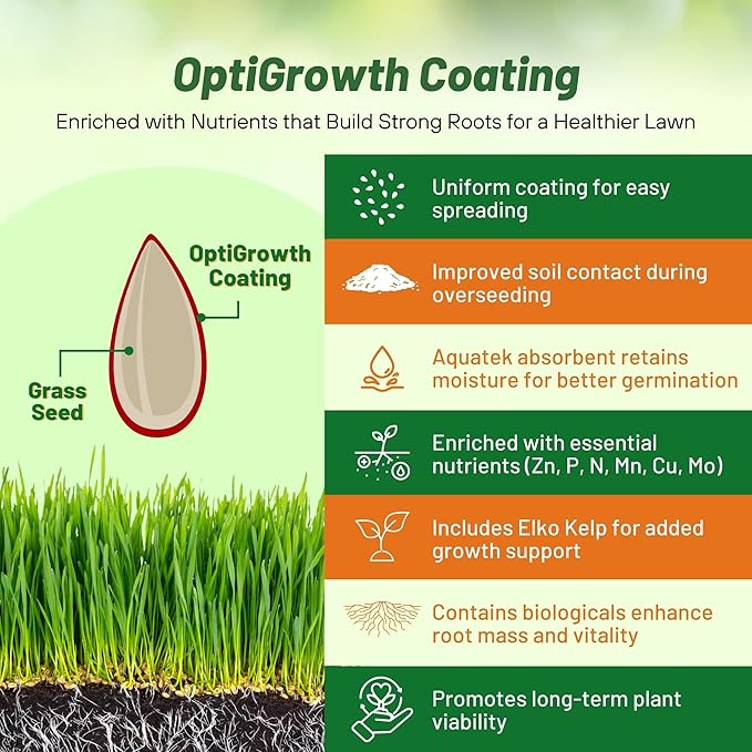 Outsidepride Creeping Red Fescue Grass Seed - 50 Lbs. Cool Season, Soft Textured, Self-Repairing Fine Fescue Grass Seeds for Lawn w/OptiGrowth Coating, Ideal for Dryland Cover Crop & Landscaping