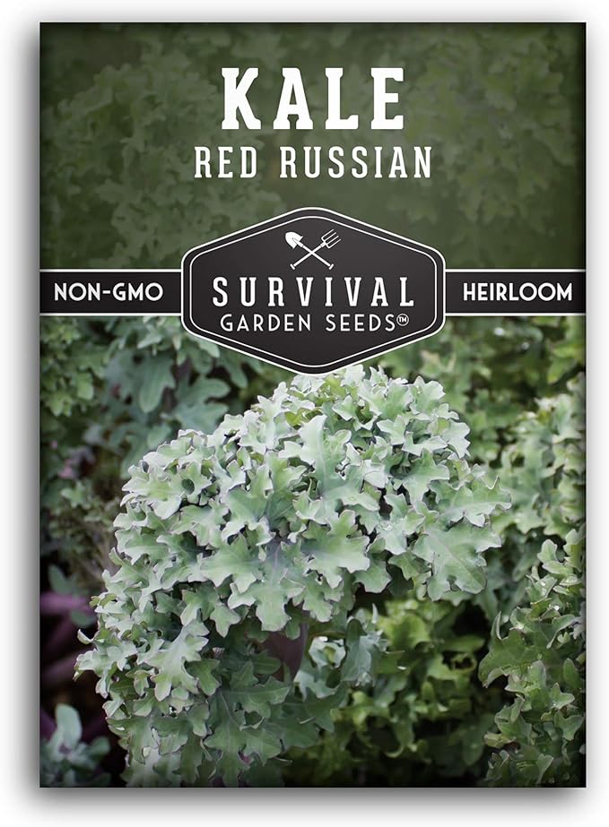 Red Russian Kale Seeds for Planting – Heirloom Red Kale – Cold Hardy for Fall & Spring Gardens – Edible, Frilly Blue-Green Leaves, Purple Stems - Survival Garden Seeds (1 Pack)