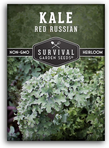 Red Russian Kale Seeds for Planting – Heirloom Red Kale – Cold Hardy for Fall & Spring Gardens – Edible, Frilly Blue-Green Leaves, Purple Stems - Survival Garden Seeds (1 Pack)