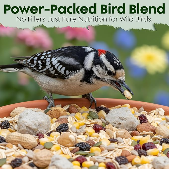 Woodpecker Bird Seeds for Outside Wild Birds - Premium Woodpecker Food with Sunflower Chips, Peanuts & Suet - Attract Woodpeckers & Songbirds - Bird Food for Outside Wild Birds - No Fillers (5LBS)