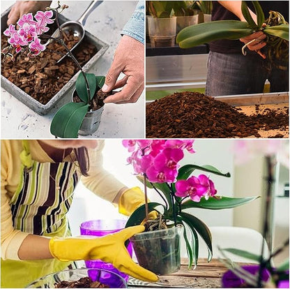 Orchid Potting Mix (1 qt) and Chunky Perlite (1 qt)