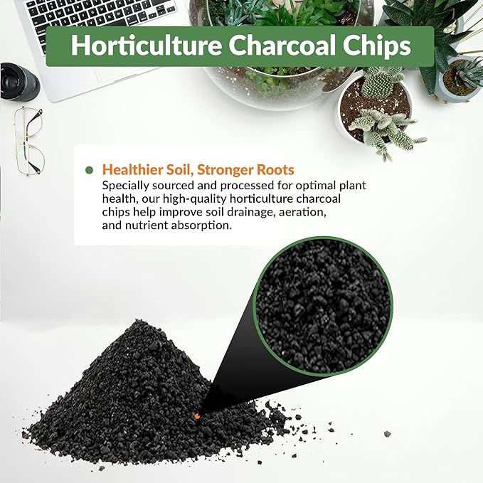 Old Potters Premium Horticultural Charcoal Chips, Natural Soil Amendment for Areation and Healthy Microbe and Plant Growth. (12 Quarts)