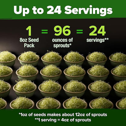 HOME GROWN Alfalfa Sprouting Seeds - Non-GMO USA-Sourced Heirloom Bulk Sprout Seed for Microgreens - Premium Organic Alfalfa Seeds for Sprouting - Indoor Growing Kit - 8 OZ