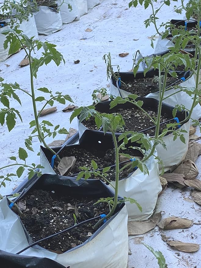HORTIPOTS 0.5 Gal Black and White Plastic Grow Bags 1/2 Gallon (Pack of 100)