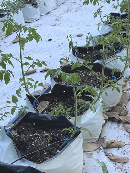 HORTIPOTS 0.5 Gal Black and White Plastic Grow Bags 1/2 Gallon (Pack of 100)