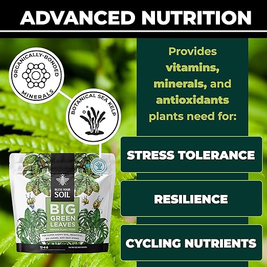 Plant Parent Houseplant Care Kit - Fertilizer, Organic Leaf Wellness, Microfiber Gloves for Plants