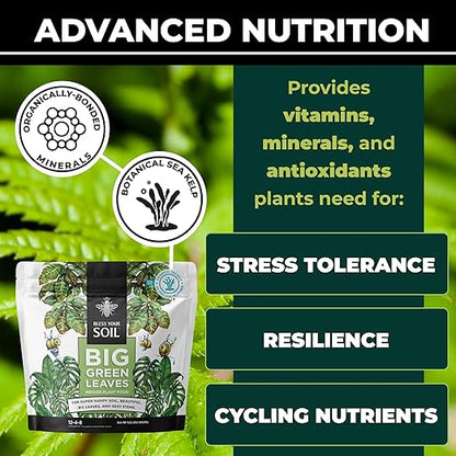 Plant Parent Houseplant Care Kit - Fertilizer, Organic Leaf Wellness, Microfiber Gloves for Plants