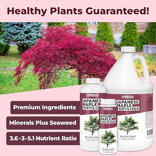 Japanese Maple Fertilizer, Complete Liquid Plant Food for All Japanese Maple Tree Varietals, 32 oz (1 Quart)