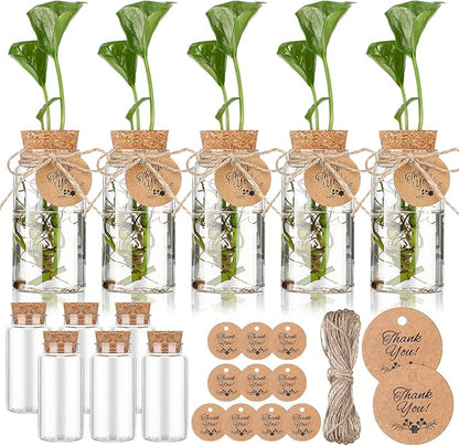 Baderke 3.54'' Plastic Plant Propagation Stations with Hole Lid 4oz Planter Vase Clear Propagation Jars with Thank You Tags for Plant Lover Gifts for Women Office Home Garden(12 Pack)