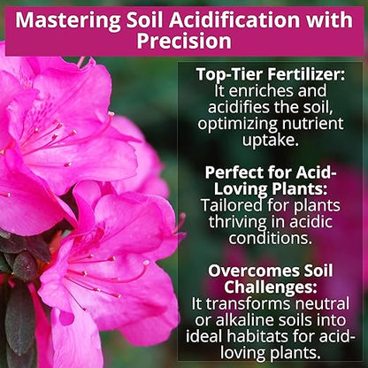 8-4-8 Acidic Fertilizer for Azaleas, Camellias (Camelia), Hydrangeas, Blueberries, Gardenias, Magnolia Trees, Evergreens, and Rhododendrons - Ideal Iron-Rich Plant Food (3 QUARTS)