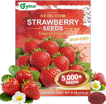 5000+ Strawberry Seeds for Planting –Heirloom Non-GMO Giant Red Strawberry Seeds, Everbearing Fruit Plants & Seeds for Garden Beds, Pots, Raised Beds, Balcony & Hydroponic Systems, 0.18 oz (5 g)