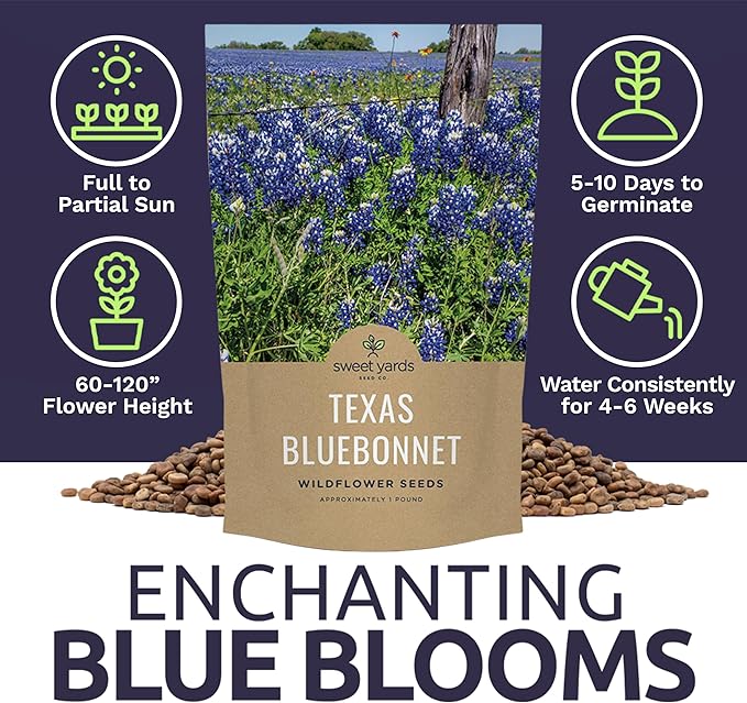 Bulk Texas Bluebonnet Wildflower Seeds - 1 Pound Bag - Over 16,000 Native Seeds - Texas State Flower!