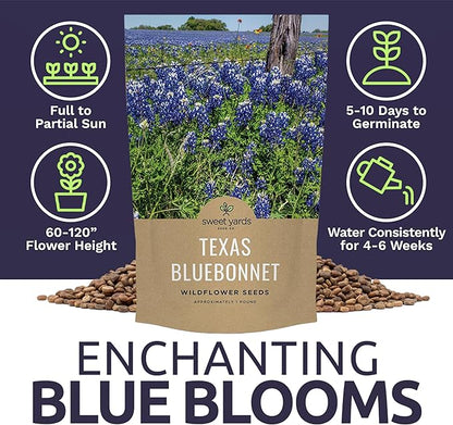 Bulk Texas Bluebonnet Wildflower Seeds - 1 Pound Bag - Over 16,000 Native Seeds - Texas State Flower!