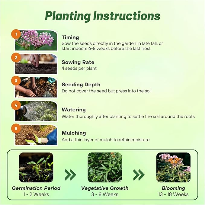 Outsidepride Swamp Milkweed Seeds - 500 Pcs Perennial, Heat & Humid Tolerant, Pollinator-Friendly Wildflower Seeds, Ideal for Monarch Butterflies, Cut Flowers, Borders, or Meadows