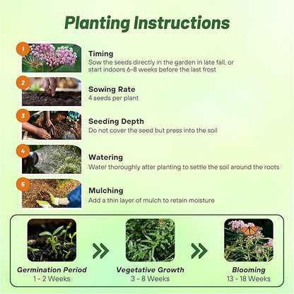 Outsidepride Swamp Milkweed Seeds - 500 Pcs Perennial, Heat & Humid Tolerant, Pollinator-Friendly Wildflower Seeds, Ideal for Monarch Butterflies, Cut Flowers, Borders, or Meadows