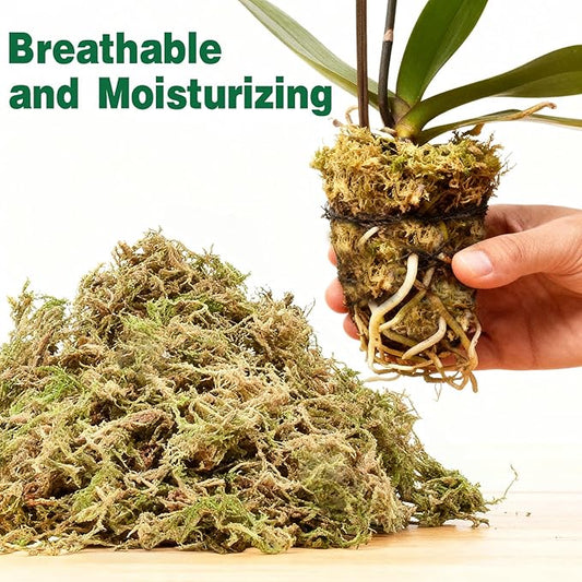 ZeeDix 20L Premium Sphagnum Moss for Plants Indoor, New Zealand Sphagnum Moss for Orchid Potting Mix Terrarium Succulent Carnivorous Ferns Hosta Garden & Reptile Habitat