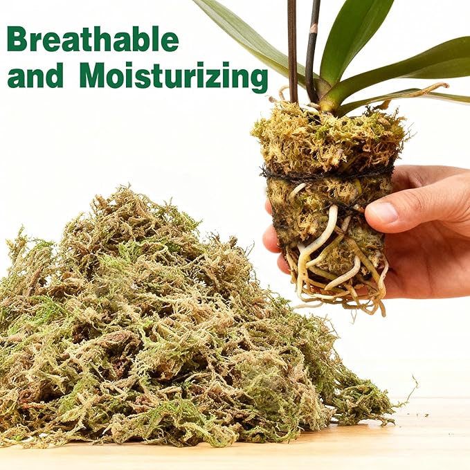 ZeeDix 12L Premium Sphagnum Moss for Plants Indoor, New Zealand Sphagnum Moss for Orchid Potting Mix Terrarium Succulent Carnivorous Ferns Hosta Garden & Reptile Habitat
