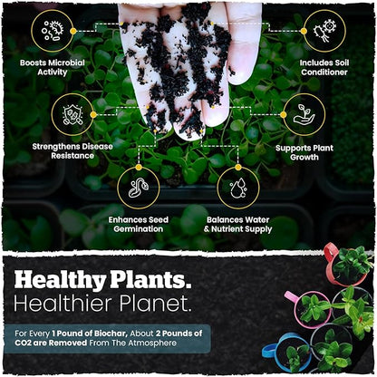 Wakefield Premium Organic Biochar Soil Amendment & Soil Conditioner Certified Carbon-Negative Nutrient-Locking, Water-Efficient Bio Char for Plants & Lawns - Soil Amendments for Lawn - 2 Quart