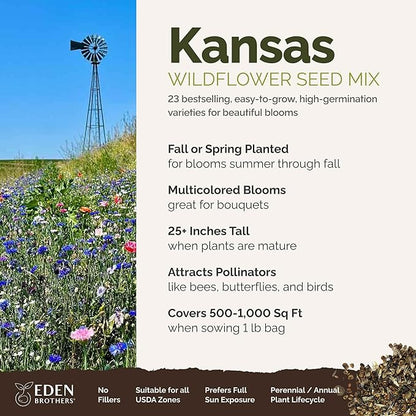 Eden Brothers Kansas Wildflower Mixed Seeds for Planting, 1 lb, 480,000+ Seeds with Candytuft, Cosmos | Attracts Pollinators, Plant in Spring or Fall, Zones
