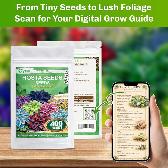 Hosta Seeds 400+ Pcs - Colorful Mixed Shade - Loving Perennial Flower Seeds for Planting, Beautiful Foliage Plants for Garden Borders, Shade Gardens & Containers, Easy to Grow