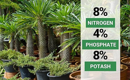 8-4-8 Professional Palm Tree Fertilizer Plant Food; for Indoor Potted Plants and Outdoor Landscape Palm Trees; Quick-Release Nitrogen Fertilizer and Continuous Feeding (1/2 Quart)