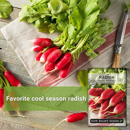 Sow Right Seeds - French Breakfast Radish Seed for Planting - Non-GMO Heirloom Packet with Instructions to Plant a Home Vegetable Garden - Fast Growing Variety - Long and Tapered with Spicy Flavor (4)