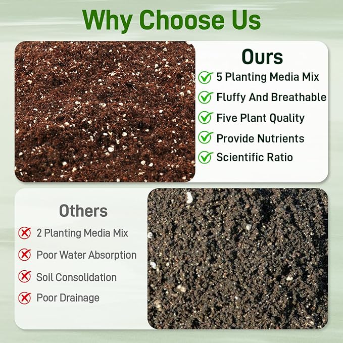 3QT Potting Soil Mix for Indoor Plants - Contains Perlite, Peat Moss, Coco Coir & Rice Charcoal, Natural & Organic Material with Well-Draining, Light & Aerated Texture for Healthy Roots & Fast Growth