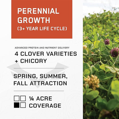All-in-One Food Plot Seed + Fertilizer for Deer - 1/4 Acre Coverage - Perennial Blend - Protein and Micronutrients for Wildlife - Clovers and Chicory - Illusion Systems (Easy Greens)