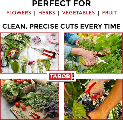 TABOR TOOLS Pruning Shears, Florist Scissors, Multi-Tasking Garden Snips for Arranging Flowers, Trimming Plants and Harvesting Herbs, Fruits or Vegetables. K17A. (Straight, Stainless Steel Blades)