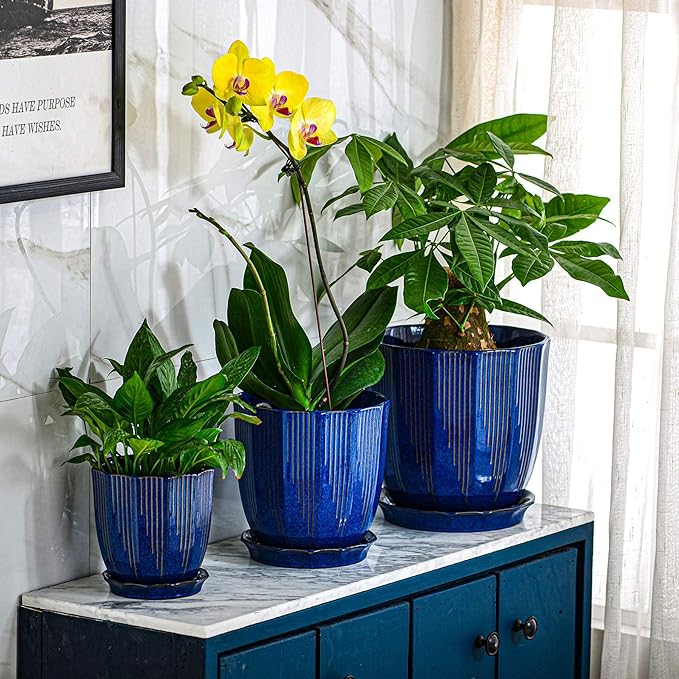 ADN Large Plant Pot Indoor Planters Ceramic Pot for Plants with Drainage Hole and Saucer for Flowers and Plants, Navy, 8 Inch