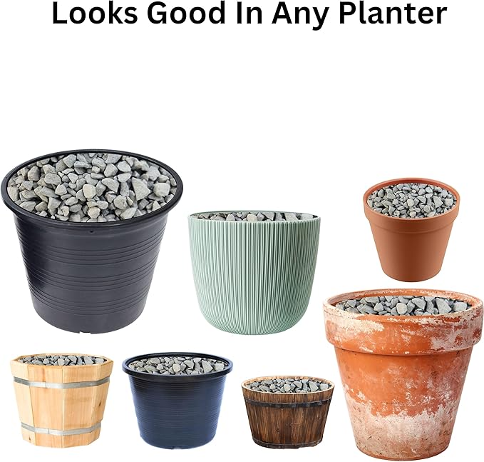 Versatile River Rocks & Garden Stones for Outdoor Landscaping - Ideal Decorative Rocks for Plants Indoor & Outdoor, Rain Forest Rocks, Landscaping Stones. 2 Quarts