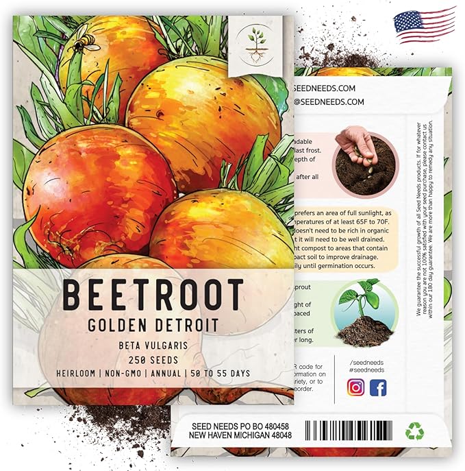 Seed Needs, Golden Detroit Beet Seeds - 250 Heirloom Seeds for Planting Beta vulgaris - Grow an Outdoor Garden Non-GMO & Untreated (5 Packs)