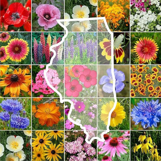 Eden Brothers Illinois Wildflower Mixed Seeds for Planting, 1/4 lb, 120,000+ Seeds with Cosmos, Blanket Flower | Attracts Pollinators, Plant in Spring or Fall, Zones