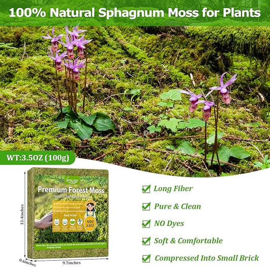 Legigo 3.7OZ Sphagnum Moss for Plants, 4QT Natural Orchid Moss Potting Mix Dired, Green Forest Plant Moss for Orchid Repotting Carnivorous Succulents Indoor Potted Plants Gardening and Reptiles