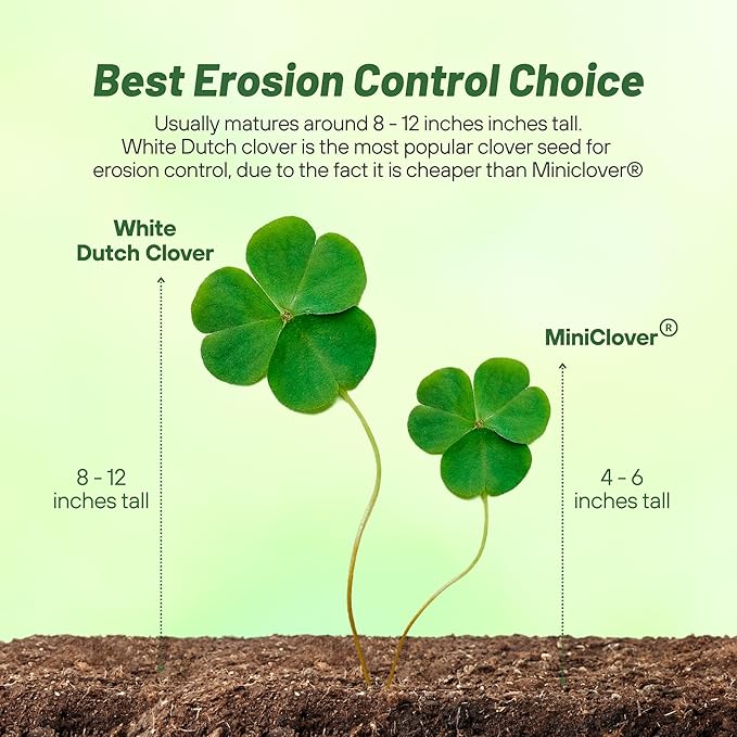 Outsidepride Perennial White Dutch Clover Seed - 10 lbs. Nitrocoated, Inoculated Clover Seeds for Lawn Alternative, Erosion Control, Food Plots, Ground Cover, & Pasture Mixtures in USDA Zones 3-10