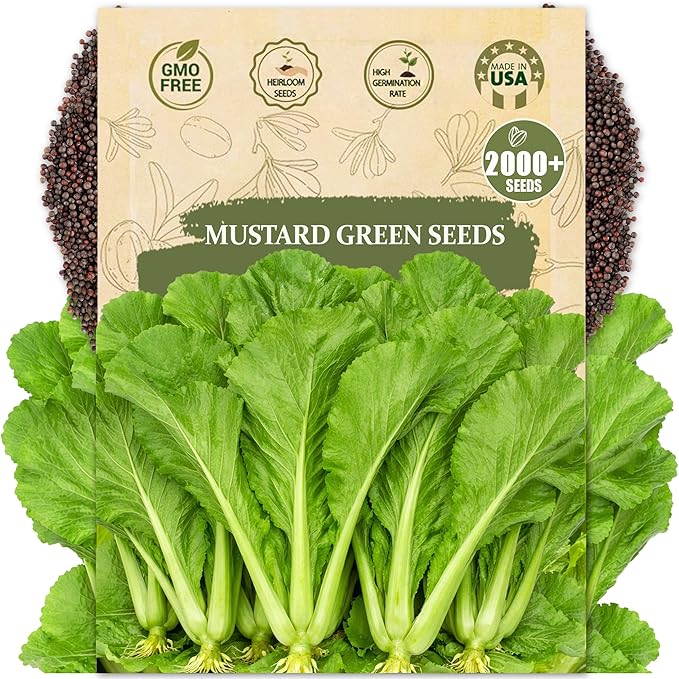 Rare Mustard Greens Seeds – 2000+ Seeds Heirloom Non-GMO, Fast-Growing Mustard Plant Seeds for Home Garden, Microgreens, and Cooking - Original Bold & Peppery Flavor