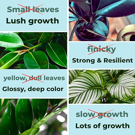 Big Green Leaves Indoor Plant Food – 4X Concentrated Houseplant Fertilizer with Sea Kelp – Makes 90 Gallons – Fast-Acting Mineral Formula, Made in USA (1 lb)