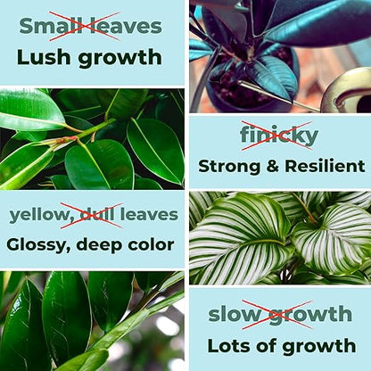 Big Green Leaves Indoor Plant Food – 4X Concentrated Houseplant Fertilizer with Sea Kelp – Makes 90 Gallons – Fast-Acting Mineral Formula, Made in USA (1 lb)