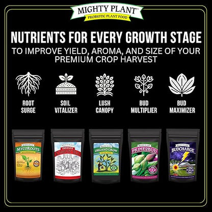 Organic Root Enhancer Ultra-Concentrated Mycorrhizal Fungi MycoRoots – 500 Spores/Gram for Optimal Plant Growth & Health | Boost Soil Nutrient Absorption (5, Ounces)