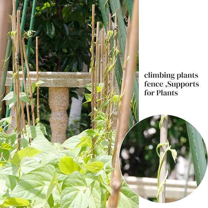 50Pack Bamboo Stakes for Plants, Bamboo Poles Eco-Friendly, Plant Stakes for Tomato, Bean, Flowers,Trees Potted and Climbing Plant,Natural Garden Stakes 4.8FT Height