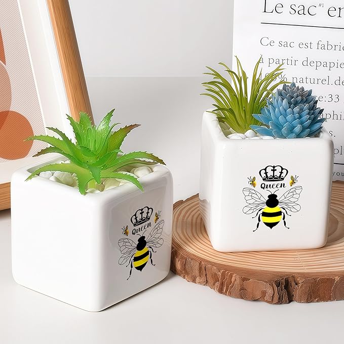 Bee Succulent Planter Flower Plant Pot Small, Gifts for Women Teens Girls Kids, Bee Lovers Themed Stuff Accessories Things Decor Merch, Home Office Table Desk Decoration!