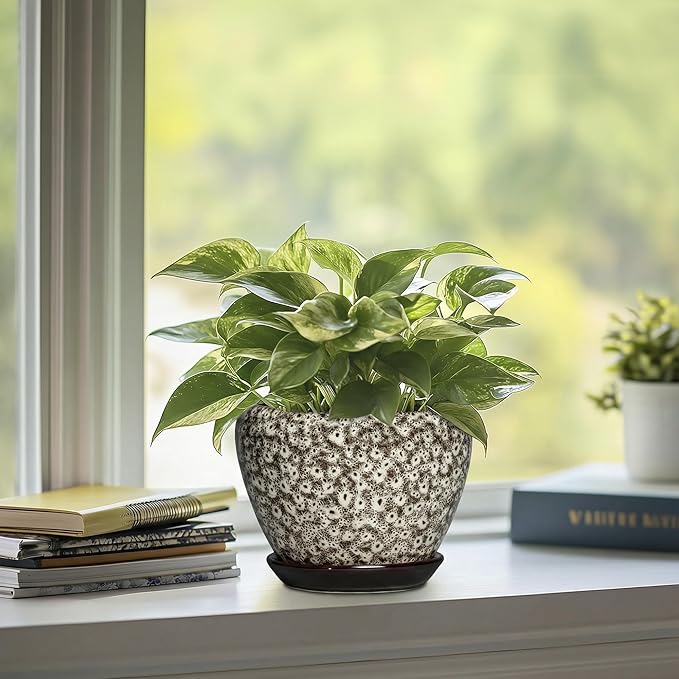 6 Inch Pots for Plants - Ceramic Plant Pots with Drainage Hole and Saucer, Round Planters for Indoor Plants Outdoor, Decorative Planter, Home Decor, Gifts for Plant Lovers, White Leopard