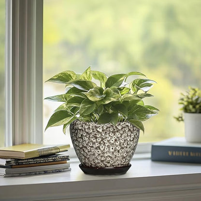 6 Inch Pots for Plants - Ceramic Plant Pots with Drainage Hole and Saucer, Round Planters for Indoor Plants Outdoor, Decorative Planter, Home Decor, Gifts for Plant Lovers, White Leopard
