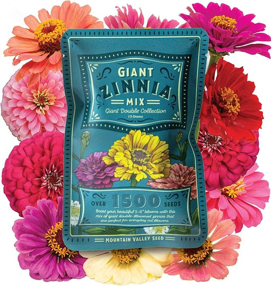 Zinnia Seeds for Planting Outdoors ~1,500 California Giant Mix Zinnia Seeds - Beautiful 4' Tall Wildflower Blossoms - Zinnia elegans Pollinator Seed Mix - Bright, Cheerful Annual Flower Seed