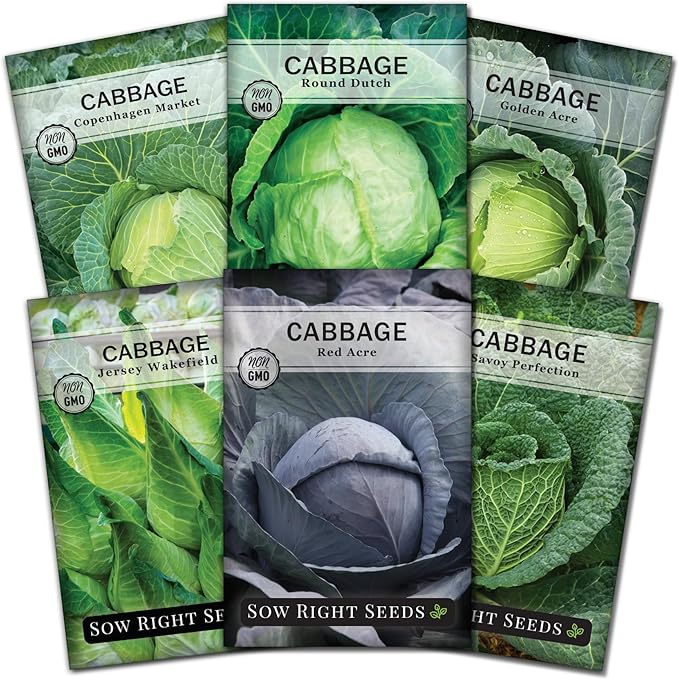 Sow Right Seeds - Cabbage Seed Collection for Planting - Savoy, Jersey Wakefield, Red Acre, Golden Acre, Copenhagen, Round Dutch - Non-GMO Heirloom Varieties to Plant and Grow a Home Vegetable Garden